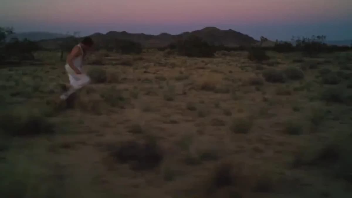 Aistis Plateau Botticelli video still in a desert landscape