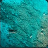 Turquoise underwater artwork for swell