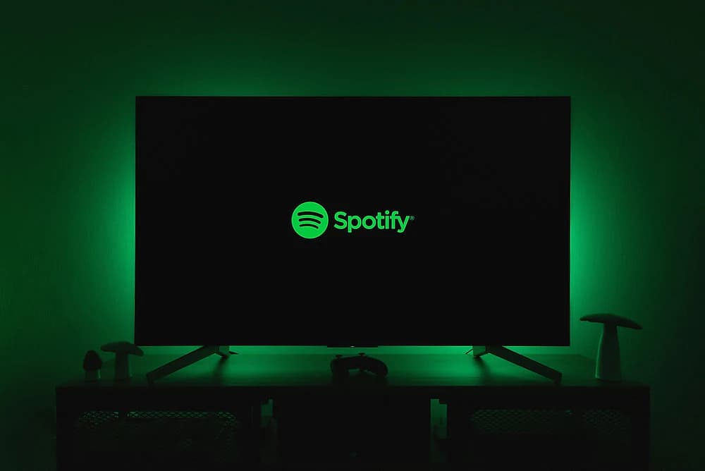 Spotify Stats 2024: What Did They Leave Out?