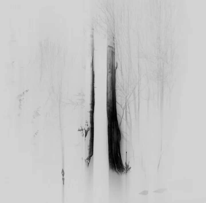Sev Karlsson Releases Debut EP ‘Reverie’: A Lush Exploration of Sound, Self, and City Life