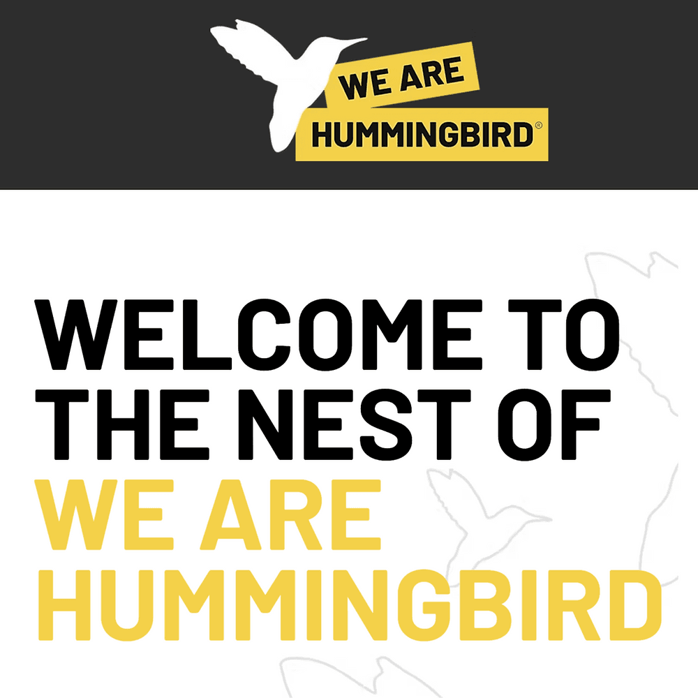 Decent Music Partners with We Are Hummingbird to Promote Mental Health Awareness