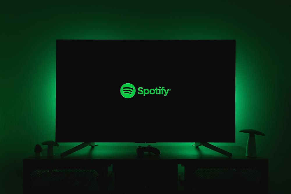 Spotify Stats 2024: What Did They Leave Out?