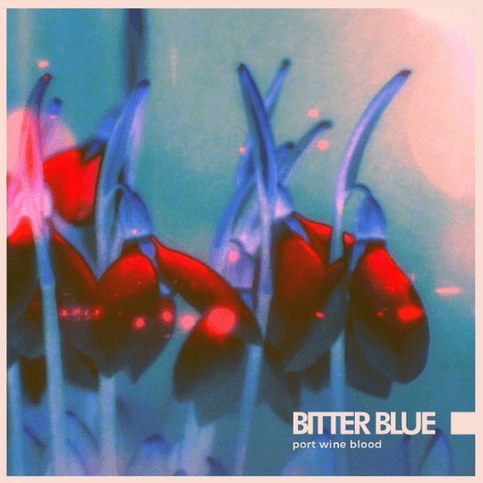 Bitter Blue Unveils New Single ‘Port Wine Blood’ Ahead of Debut Album Release