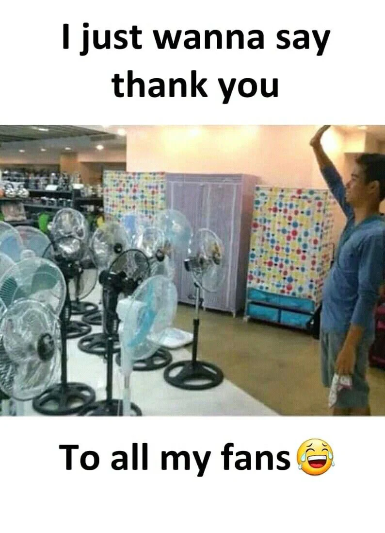 Fans pun meme